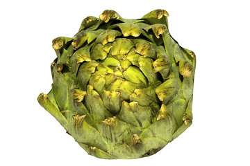 Image showing Single artichoke from above