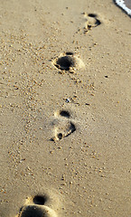 Image showing Human traces on sand