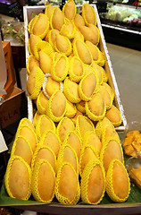 Image showing mango fruit