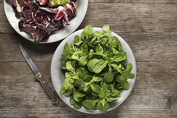 Image showing Lamb's lettuce 