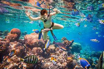 Image showing Snorkeler Maldives Indian Ocean coral reef.