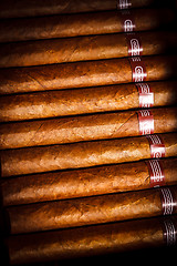 Image showing Cigars in humidor