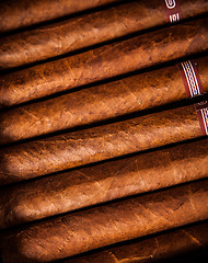 Image showing Cigars in humidor