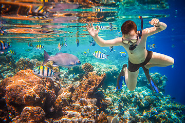 Image showing Snorkeler Maldives Indian Ocean coral reef.