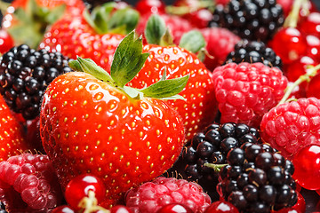 Image showing Variety of different berries