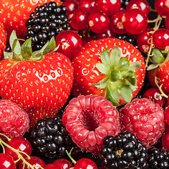 Image showing Variety of different berries