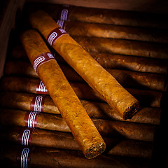 Image showing Cigars in humidor