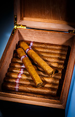 Image showing Cigars in humidor