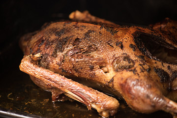 Image showing roasted goose 