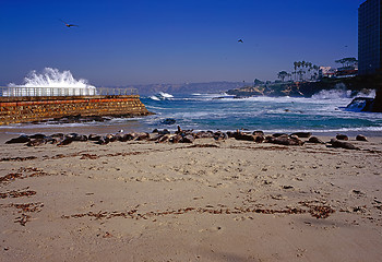 Image showing La Jolla, California