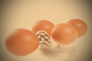 Image showing eggs with a feather, easter still life