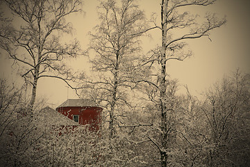 Image showing red house in winter wood  