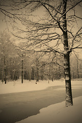 Image showing winter landscape