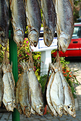 Image showing The dried fishes