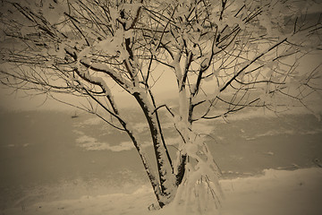 Image showing on the frozen riverside