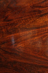 Image showing oak veneer texture