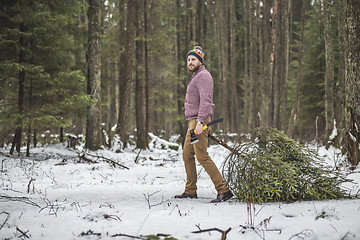 Image showing Young man is caryying christmas tree in the wood