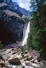 Image showing Yosemite Falls