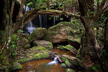 Image showing The lush Grotto at Fitzory Falls Australia