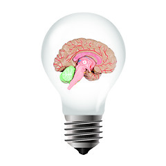 Image showing Light bulb with brain