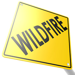 Image showing Road sign with wildfire