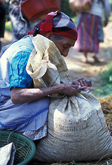 Image showing LATIN AMERICA GUATEMALA COFFEE