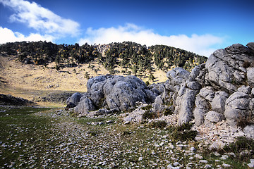 Image showing mountain rock  summer wonderful view