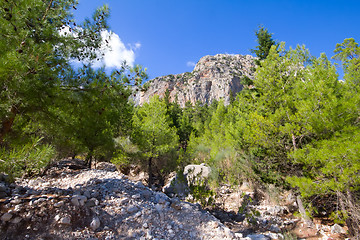 Image showing soothing mountain summer wonderful view