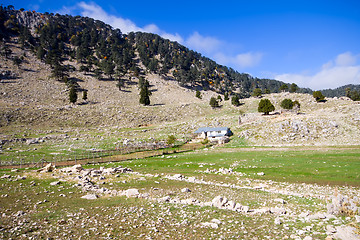 Image showing soothing mountain summer wonderful view