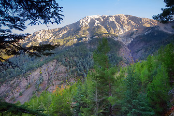 Image showing soothing mountain summer wonderful view