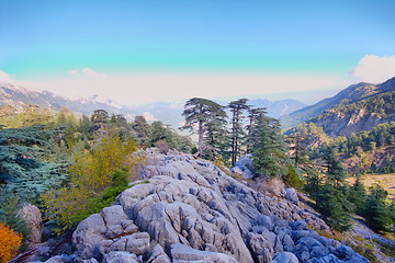 Image showing soothing mountain rock  summer wonderful view