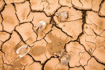 Image showing sea drought change of  climate heat water