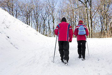 Image showing Walking in the snow forest