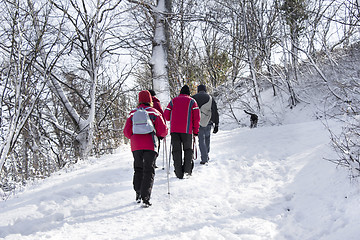 Image showing Walking on the snow forest