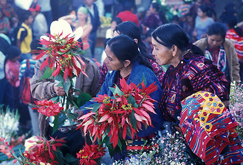 Image showing LATIN AMERICA GUATEMALA CHICHI