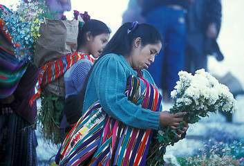 Image showing LATIN AMERICA GUATEMALA CHICHI