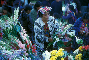 Image showing LATIN AMERICA GUATEMALA CHICHI