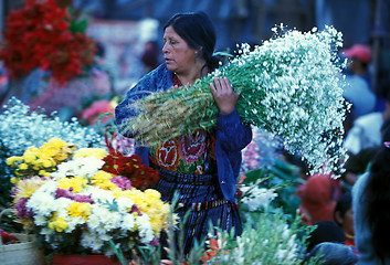 Image showing LATIN AMERICA GUATEMALA CHICHI