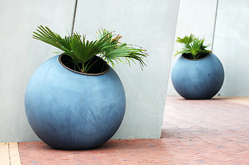 Image showing Large plant pots