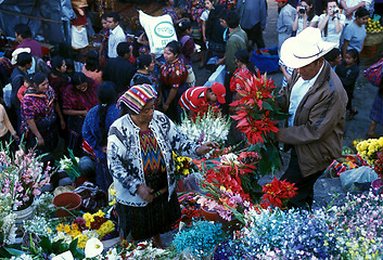 Image showing LATIN AMERICA GUATEMALA CHICHI