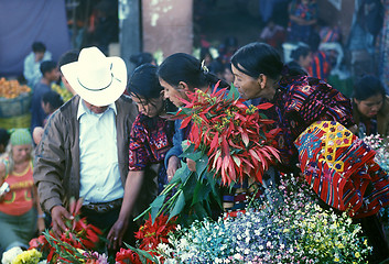 Image showing LATIN AMERICA GUATEMALA CHICHI