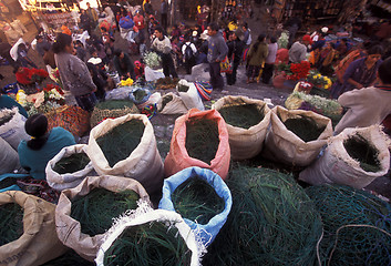 Image showing LATIN AMERICA GUATEMALA CHICHI