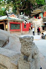 Image showing Guardian lion