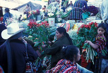 Image showing LATIN AMERICA GUATEMALA CHICHI