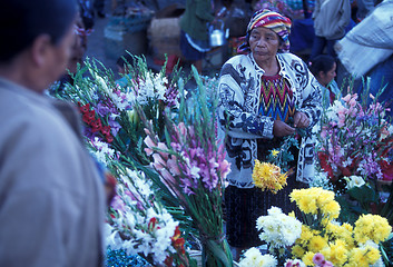 Image showing LATIN AMERICA GUATEMALA CHICHI