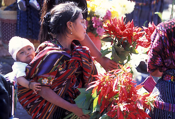 Image showing LATIN AMERICA GUATEMALA CHICHI