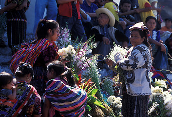 Image showing LATIN AMERICA GUATEMALA CHICHI