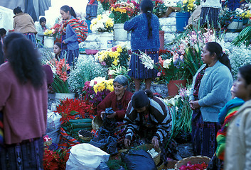 Image showing LATIN AMERICA GUATEMALA CHICHI