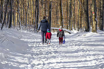 Image showing Family in the snow in the forest