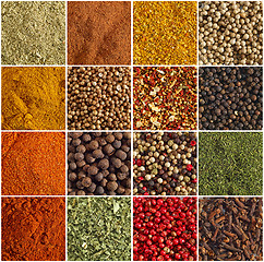 Image showing various kinds of spices